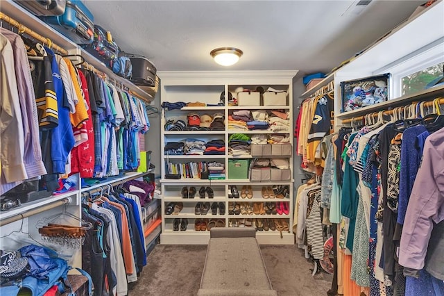 5525 Fontana Ct, Murrysville, PA 15632 - spacious closet featuring carpet flooring