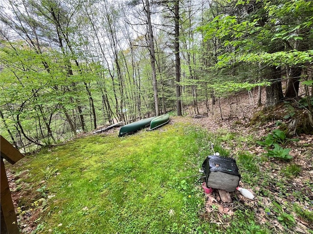 351 2nd Ave, North-Other Area, PA 16353 - view of yard featuring a forest view