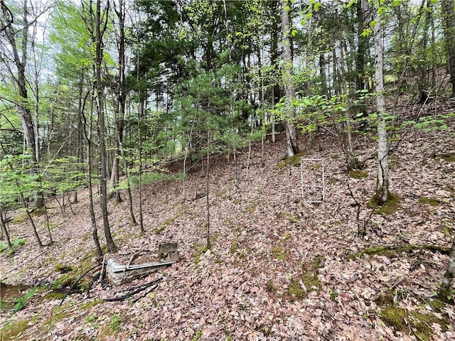 351 2nd Ave, North-Other Area, PA 16353 - view of undeveloped land