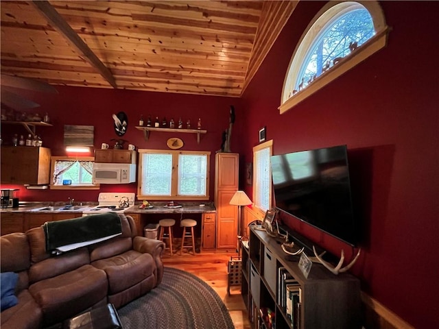 351 2nd Ave, North-Other Area, PA 16353 - living area featuring wooden ceiling, lofted ceiling, and light wood-style flooring