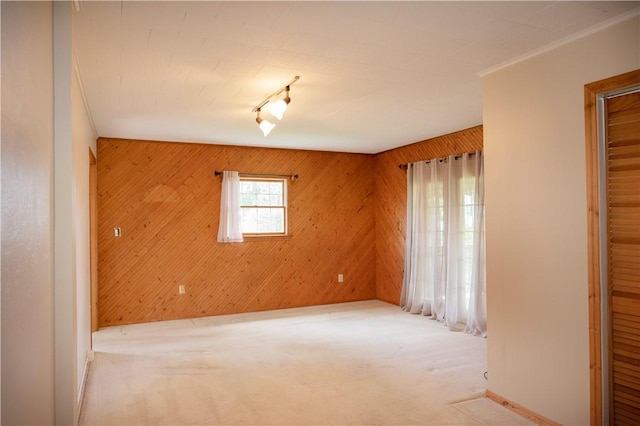 322 Garfield Ave, Mars Boro, PA 16046 - carpeted spare room with wood walls, rail lighting, and baseboards
