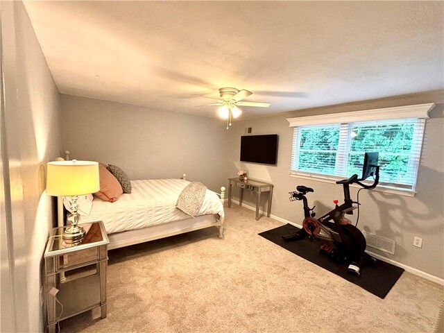 112 Brandywine, Manor, PA 15642 - carpeted bedroom featuring baseboards and a ceiling fan
