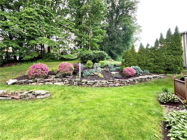 112 Bandywine, Penn Twp Wml, PA 15642 - view of grassy yard