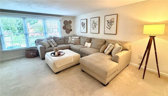 112 Bandywine, Penn Twp Wml, PA 15642 - living area featuring plenty of natural light, baseboards, and light colored carpet