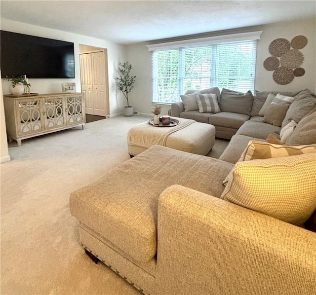 112 Bandywine, Penn Twp Wml, PA 15642 - living area with carpet floors and baseboards
