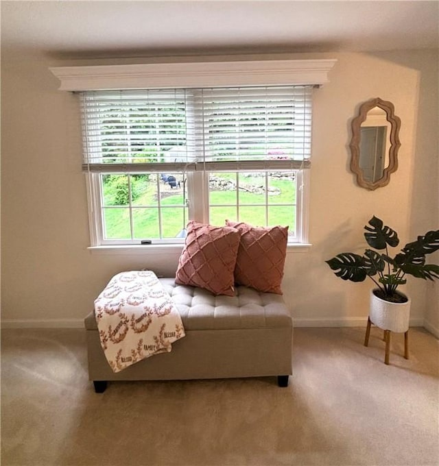 112 Bandywine, Penn Twp Wml, PA 15642 - sitting room with plenty of natural light, baseboards, and carpet
