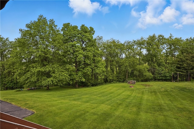 465 Hewitt Ave, Canton Twp, PA 15301 - view of green lawn