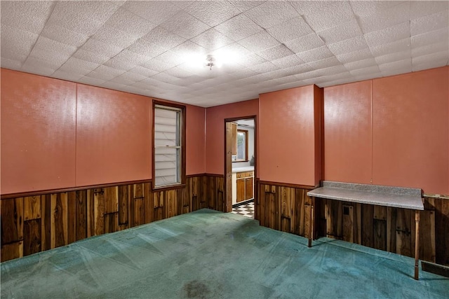 208 Maple Ave, City Of But Se, PA 16001 - empty room featuring wooden walls, a wainscoted wall, and carpet floors