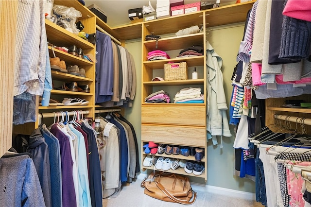 2536 Appletree Dr, Upper St Clair, PA 15241 - view of spacious closet