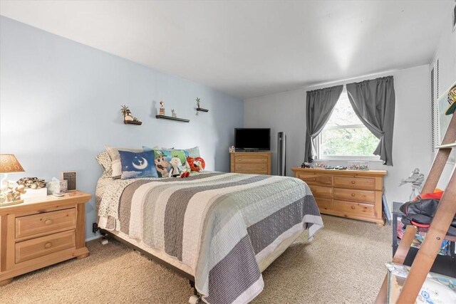 53 Escalon Dr, Findlay Twp, PA 15108 - bedroom with light colored carpet