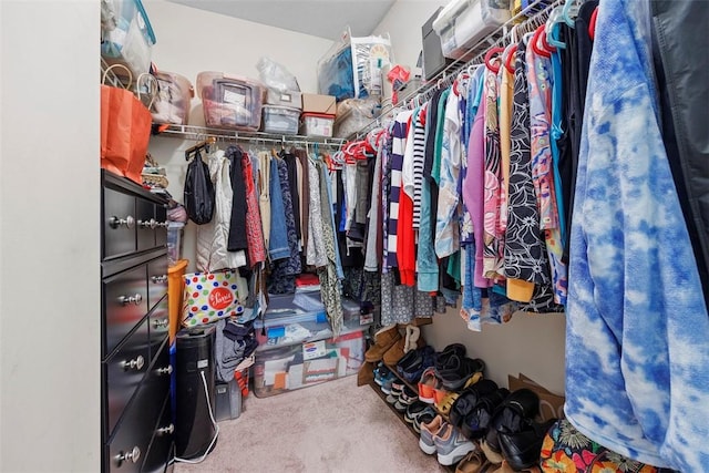 200 Hidden Ridge Ct Unit 202, South Park, PA 15129 - spacious closet featuring carpet floors
