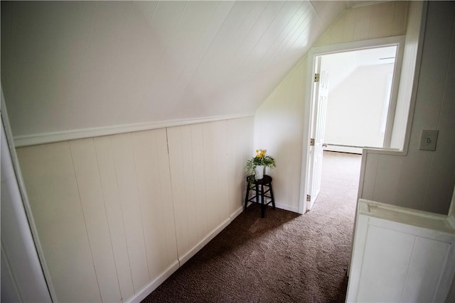 721 Grant Ave, West Mifflin, PA 15122 - additional living space featuring a baseboard radiator, carpet, and vaulted ceiling