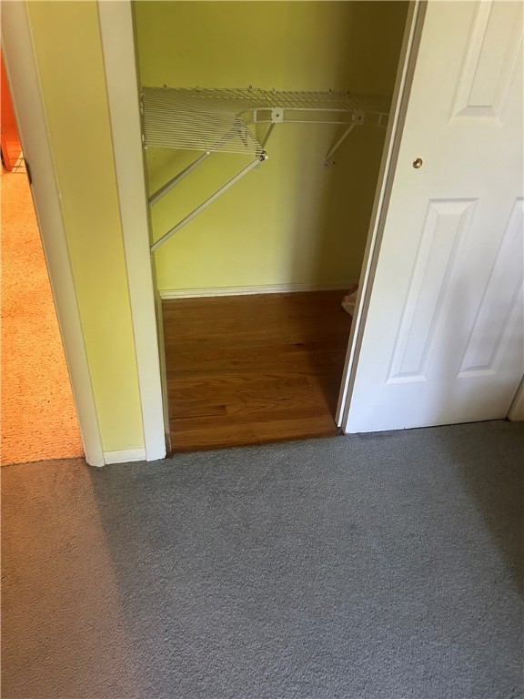 127 Opal Ct, Natrona Hts/Harrison Twp, PA 15065 - view of closet