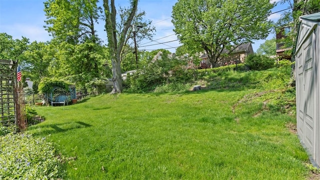 817 Wainwright Dr, Mt Lebanon, PA 15228 - view of yard