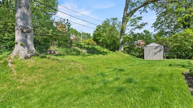 817 Wainwright Dr, Mt Lebanon, PA 15228 - view of grassy yard