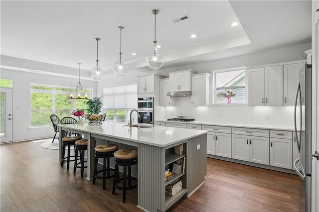 2019 Aiken Ct, Robinson Twp Nwa, PA 15136 - kitchen featuring a tray ceiling, stainless steel appliances, a sink, under cabinet range hood, and dark wood-style flooring