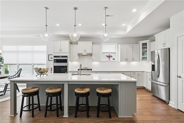 2019 Aiken Ct, Robinson Twp Nwa, PA 15136 - kitchen featuring stainless steel appliances, plenty of natural light, crown molding, under cabinet range hood, and a sink