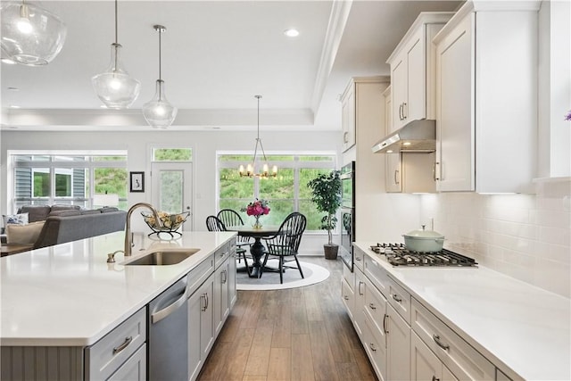 2019 Aiken Ct, Robinson Twp Nwa, PA 15136 - kitchen featuring a sink, stainless steel appliances, under cabinet range hood, dark wood finished floors, and crown molding