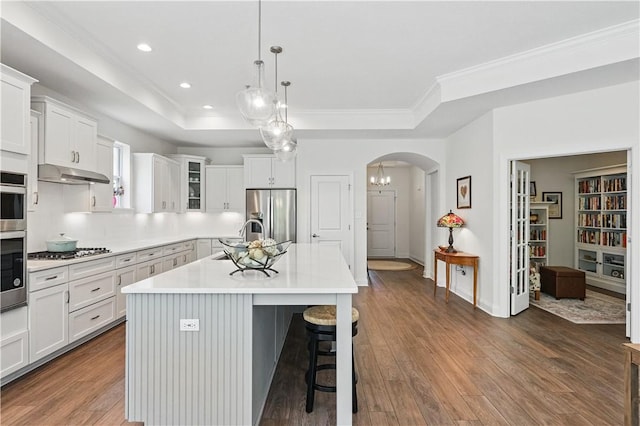 2019 Aiken Ct, Robinson Twp Nwa, PA 15136 - kitchen featuring appliances with stainless steel finishes, under cabinet range hood, a tray ceiling, wood finished floors, and recessed lighting