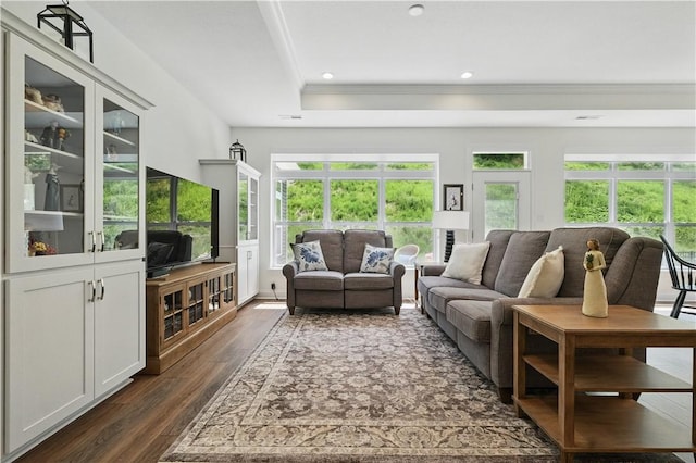 2019 Aiken Ct, Robinson Twp Nwa, PA 15136 - living room featuring ornamental molding, dark wood-style floors, recessed lighting, and a tray ceiling