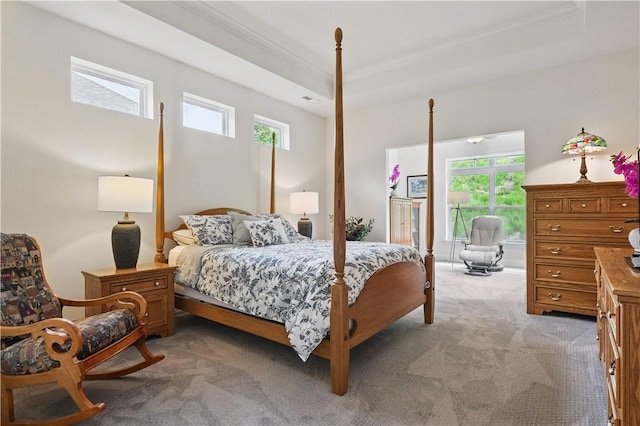 2019 Aiken Ct, Robinson Twp Nwa, PA 15136 - bedroom with crown molding, light colored carpet, and multiple windows