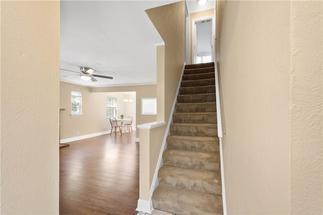 105 Brookwood Rd, Peters Twp, PA 15367 - staircase with ceiling fan, baseboards, and wood finished floors