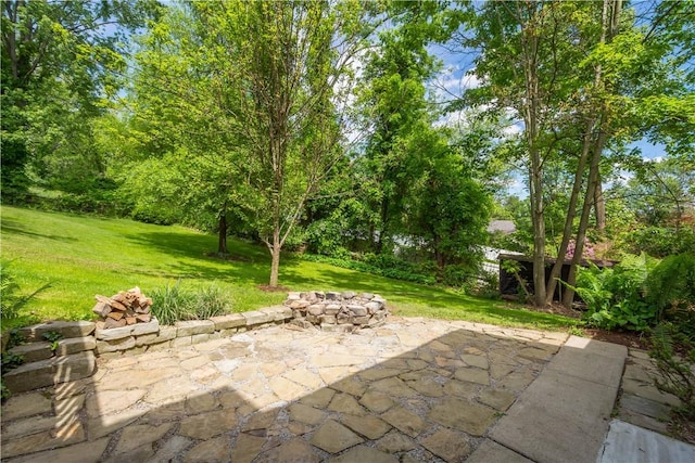105 Brookwood Rd, Peters Twp, PA 15367 - view of patio