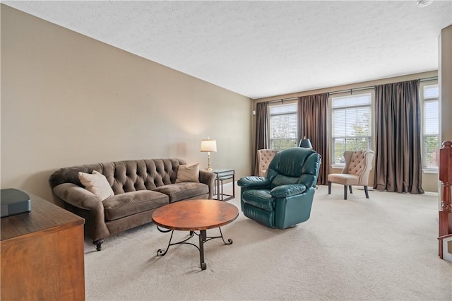 3005 Village Run Rd, Pine Twp Nal, PA 15090 - living area featuring carpet floors, plenty of natural light, and a textured ceiling