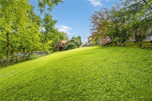 842 Towercrest Dr, Mt Lebanon, PA 15228 - view of yard