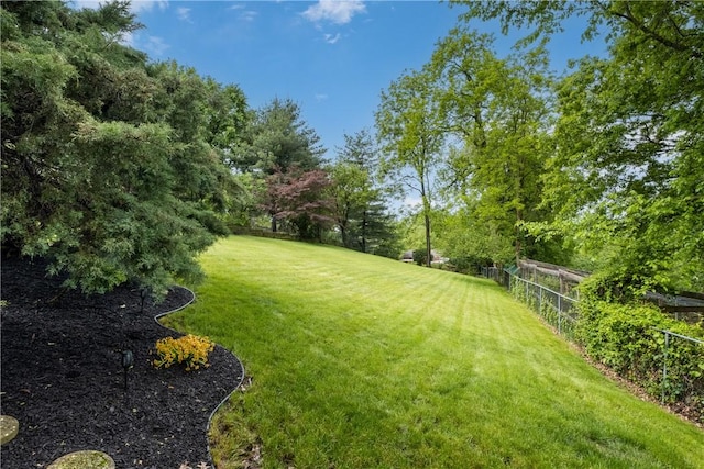842 Towercrest Dr, Mt Lebanon, PA 15228 - view of yard