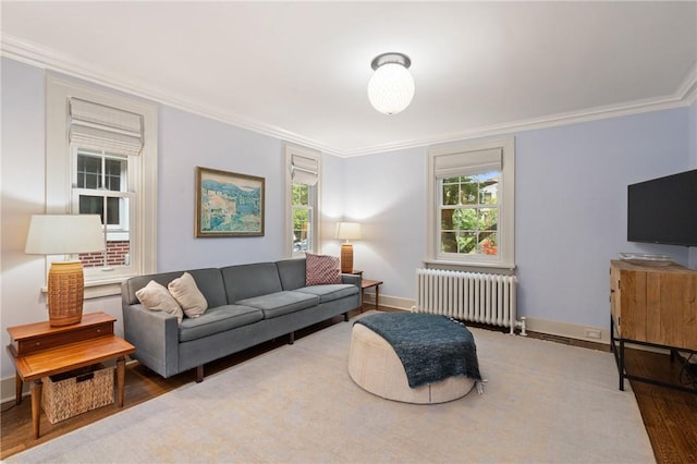 5810 Hampton St, Highland Park, PA 15206 - living room with radiator, ornamental molding, and baseboards