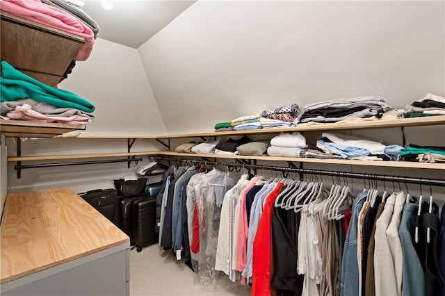 5810 Hampton St, Highland Park, PA 15206 - spacious closet featuring carpet flooring and lofted ceiling