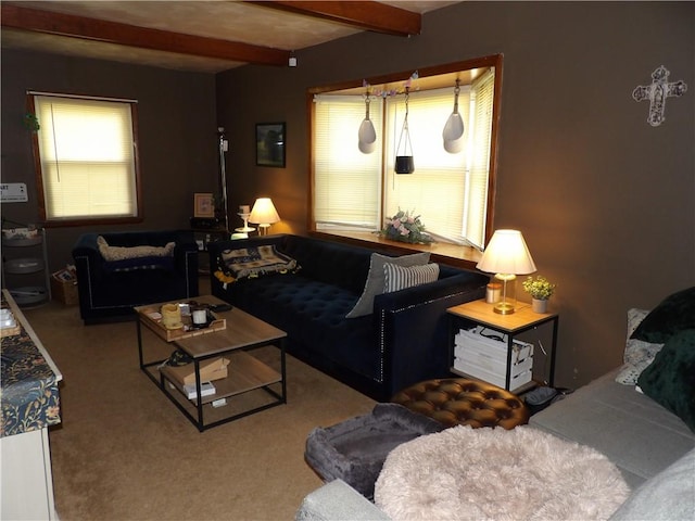 192 Searight Ave, Uniontown, PA 15401 - living room with beamed ceiling and carpet flooring
