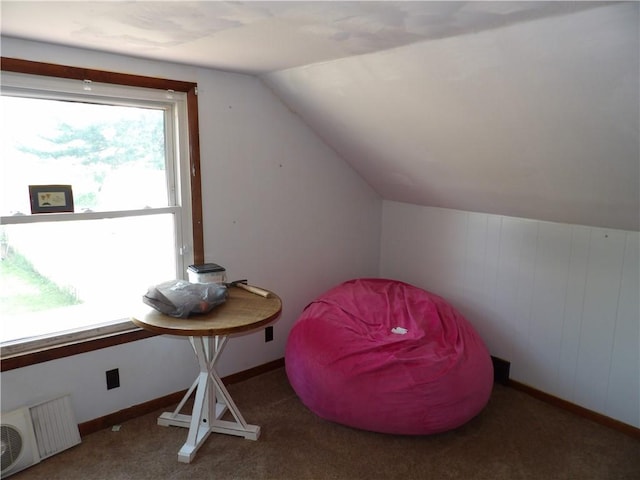 192 Searight Ave, Uniontown, PA 15401 - bonus room with lofted ceiling, carpet, and baseboards