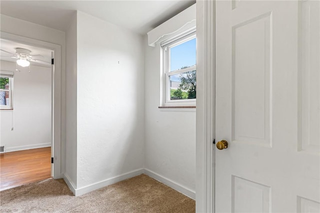 51 Hollow Haven Dr, Baldwin Boro, PA 15236 - carpeted empty room featuring healthy amount of natural light, baseboards, and ceiling fan