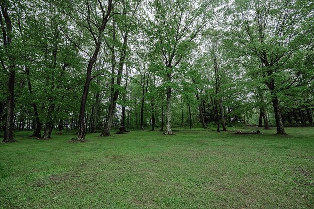 290 Summit Rd, Punxsutawney Area School District, PA 15851 - photo 27