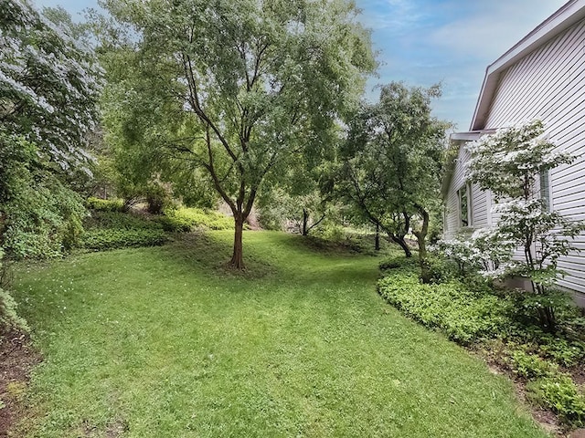 305 Ivy Dr, Pine Twp Nal, PA 15044 - view of grassy yard