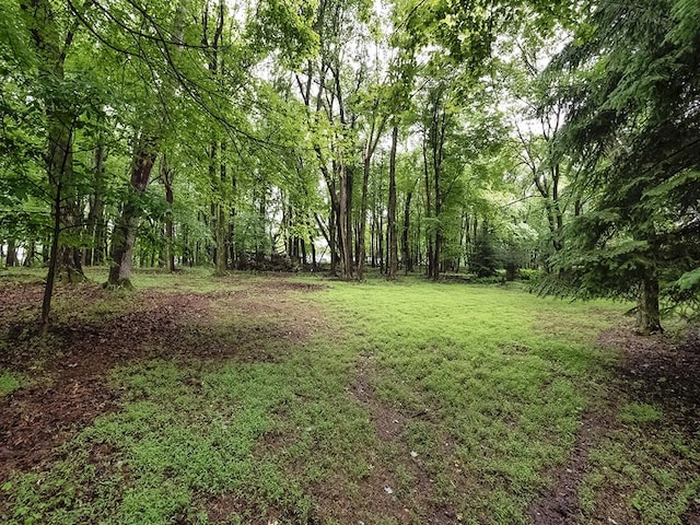 305 Ivy Dr, Pine Twp Nal, PA 15044 - view of grassy yard featuring a forest view