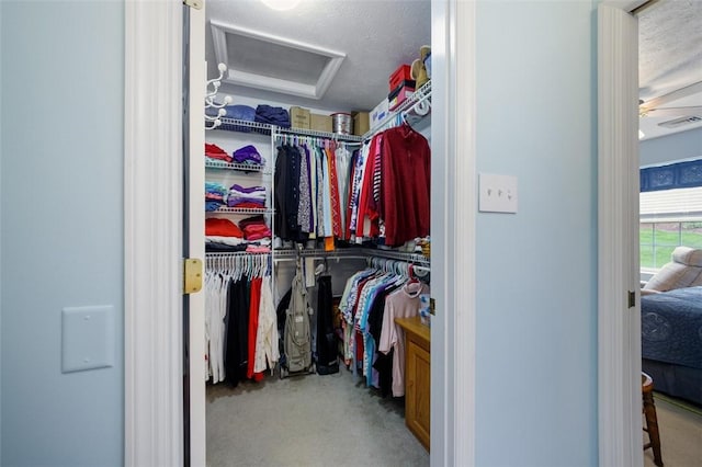 1011 Sunnyfield Ct, Penn Twp Wml, PA 15636 - walk in closet with attic access and carpet flooring