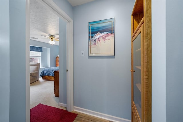 1011 Sunnyfield Ct, Penn Twp Wml, PA 15636 - hall featuring baseboards