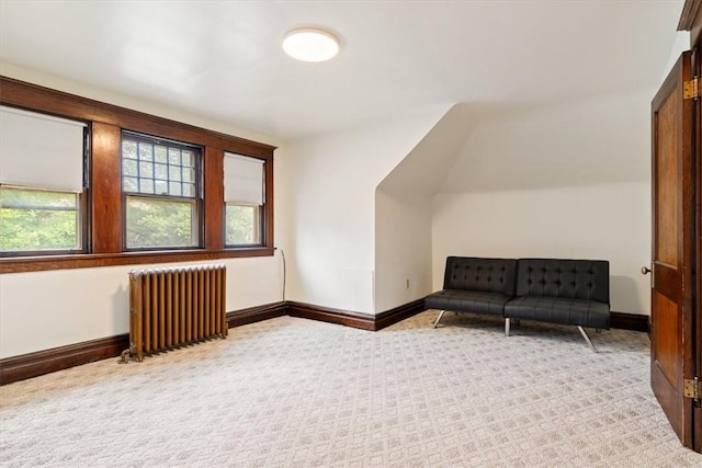 3319 Beechwood Blvd, Squirrel Hill, PA 15217 - bonus room with radiator heating unit, baseboards, and carpet floors