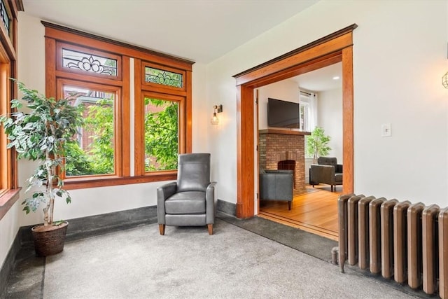 3319 Beechwood Blvd, Squirrel Hill, PA 15217 - living area featuring radiator heating unit, a brick fireplace, and carpet