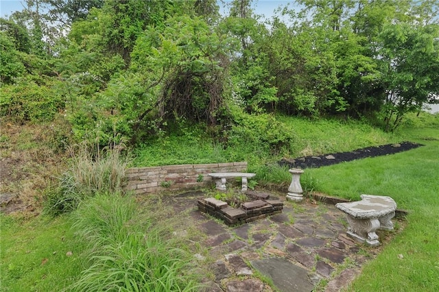 219 Randy Ln, Moon/Crescent Twp, PA 15108 - view of yard