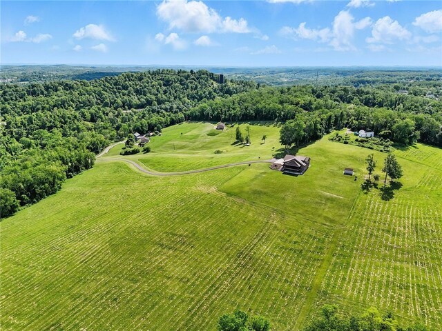 390 Wilson Rd, California, PA 15417 - photo 47