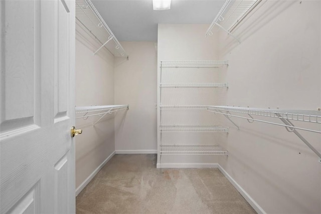 10276 Rinaman Rd, Mccandless, PA 15090 - spacious closet featuring carpet floors