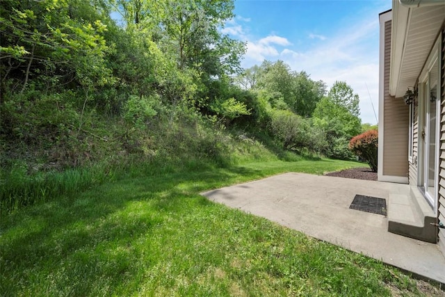10276 Rinaman Rd, Mccandless, PA 15090 - view of green lawn featuring a patio