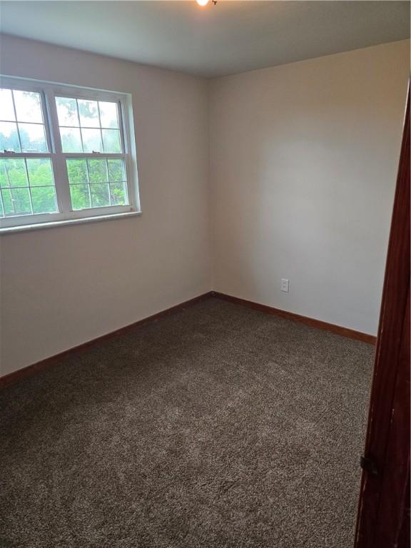 1161 Cox Pl, Lincoln Place, PA 15207 - photo 8