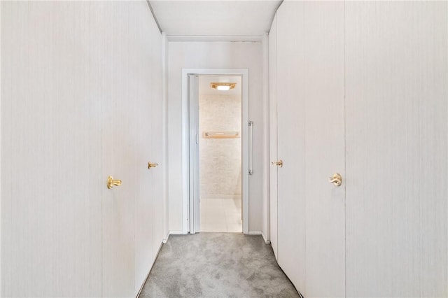 5600 Munhall Rd Unit 606, Squirrel Hill, PA 15217 - hallway featuring carpet floors