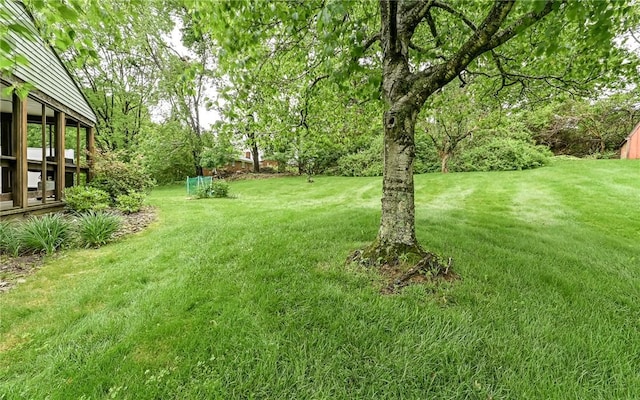 4610 School Dr, Hampton, PA 15101 - view of grassy yard