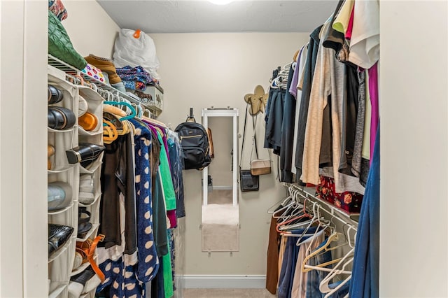 105 Pin Oak Ct, Peters Twp, PA 15367 - walk in closet featuring carpet